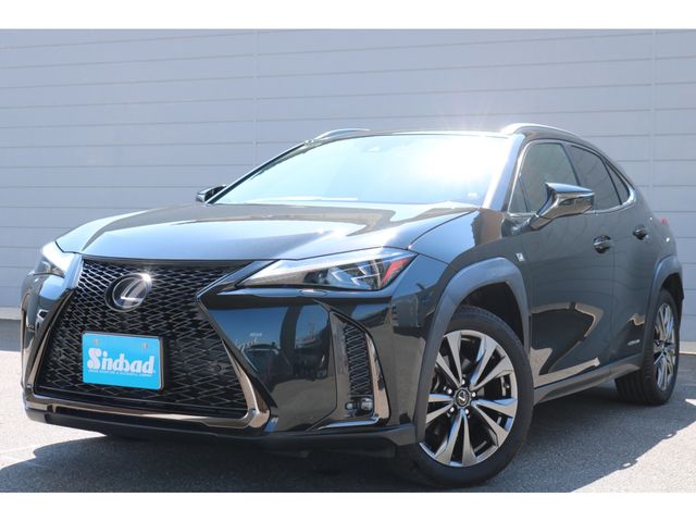 TOYOTA / LEXUS UX250h