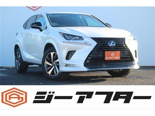 TOYOTA / LEXUS NX300h