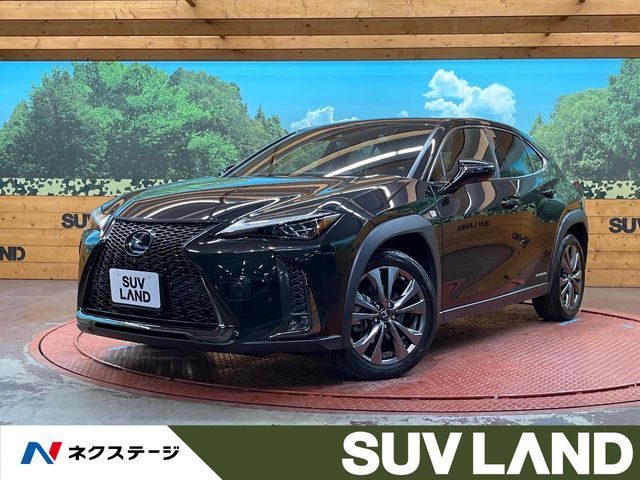 TOYOTA / LEXUS UX250h