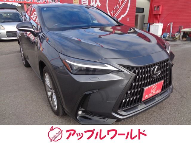 TOYOTA / LEXUS NX450h+ AWD