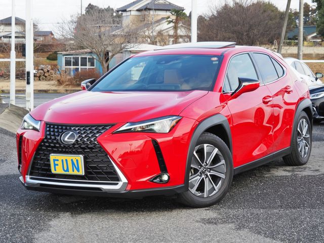 TOYOTA / LEXUS UX300e