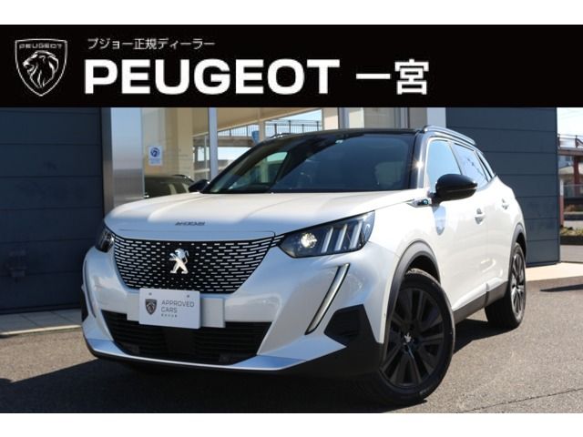 PEUGEOT / PEUGEOT e-2008