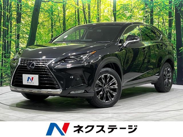 TOYOTA / LEXUS NX300h AWD