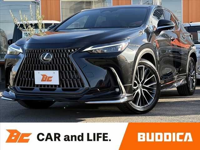 TOYOTA / LEXUS NX250