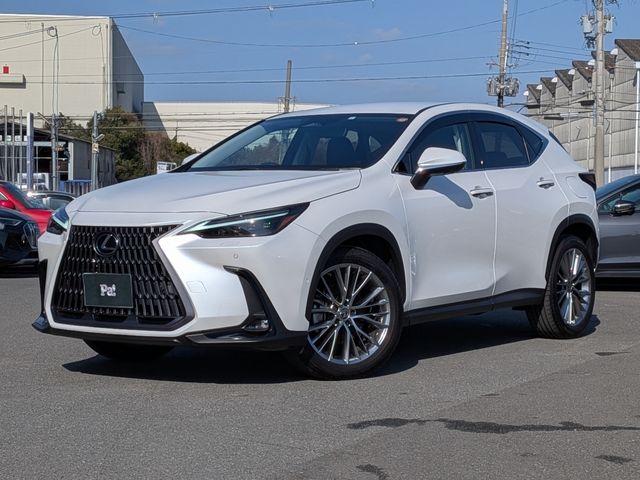 TOYOTA / LEXUS NX450h+ AWD