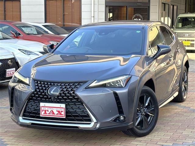 TOYOTA / LEXUS UX250h