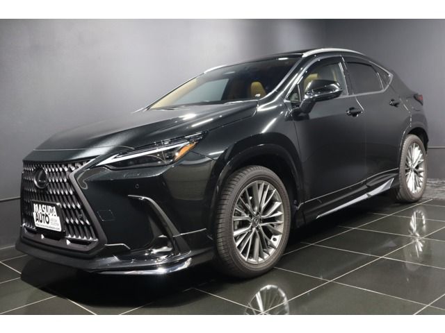 TOYOTA / LEXUS NX250
