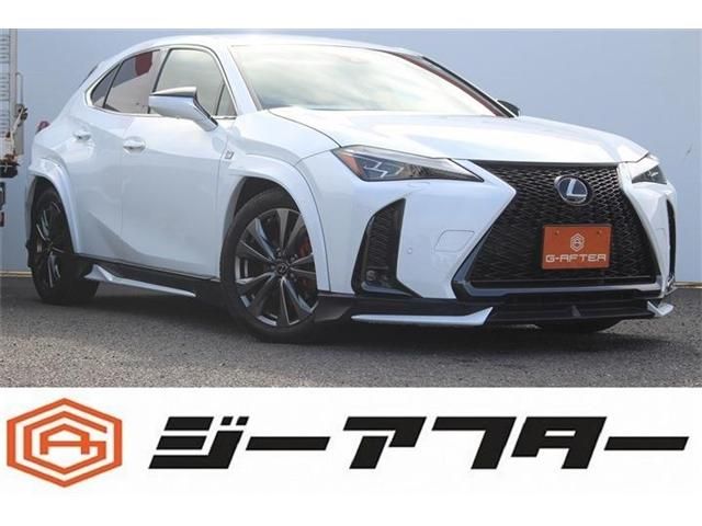 TOYOTA / LEXUS UX250h