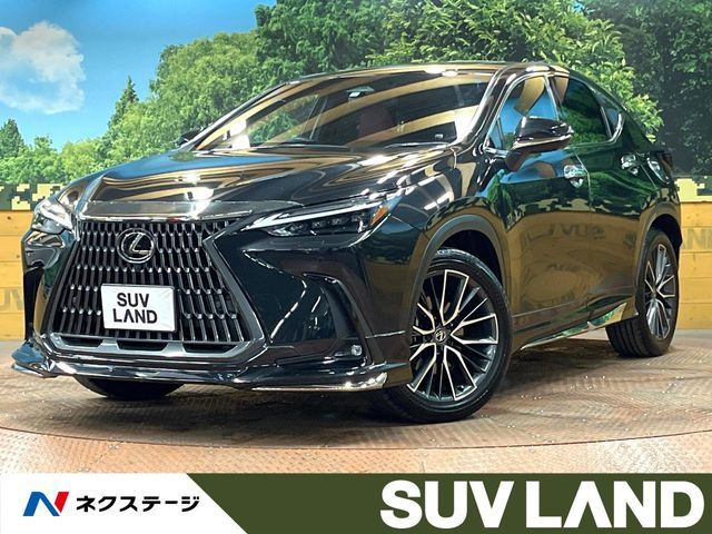 TOYOTA / LEXUS NX250 AWD