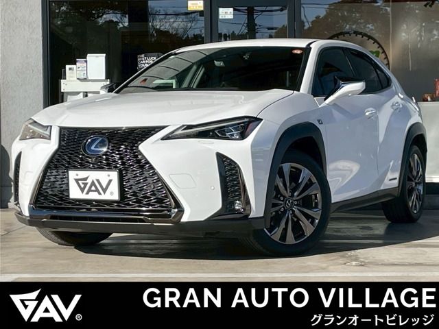 TOYOTA / LEXUS UX250h AWD