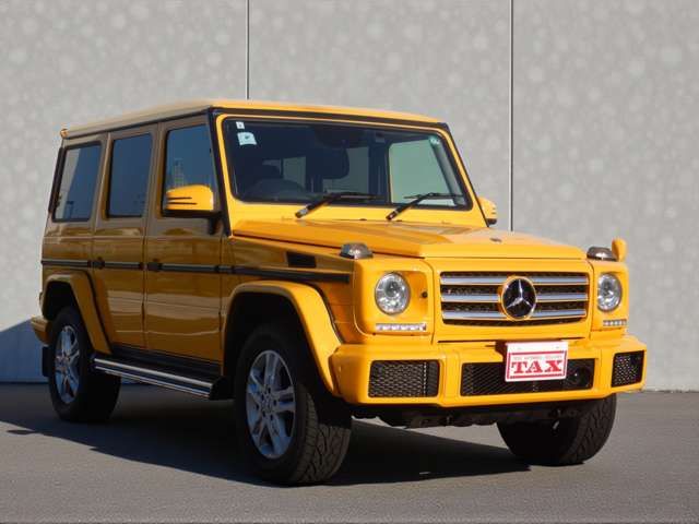MERCEDES BENZ / MERCEDES BENZ G class