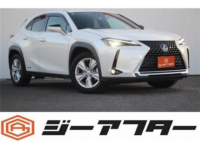 TOYOTA / LEXUS UX250h