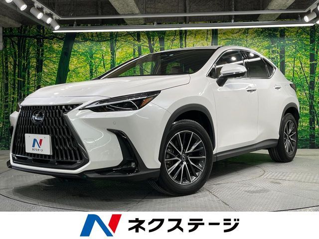 TOYOTA / LEXUS NX250