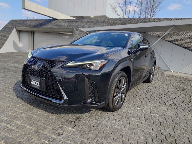 TOYOTA / LEXUS UX250h