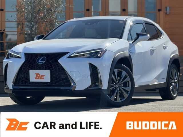 TOYOTA / LEXUS UX250h