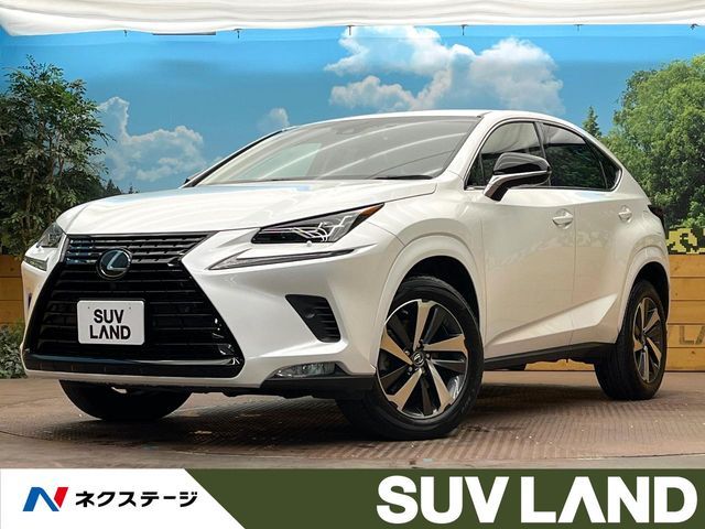 TOYOTA / LEXUS NX300