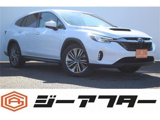 SUBARU / LEVORG LAYBACK