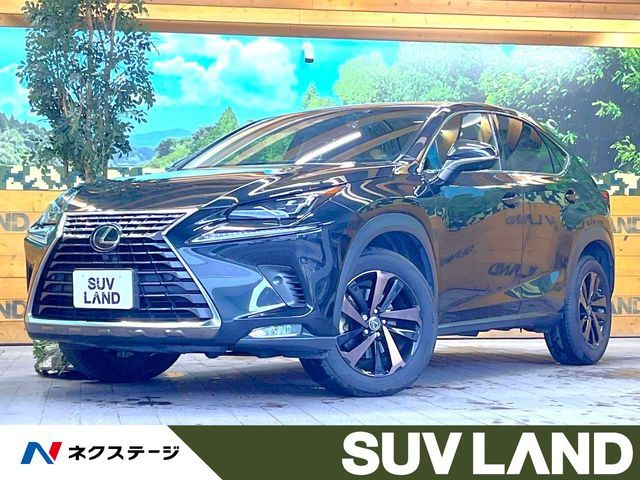 TOYOTA / LEXUS NX300