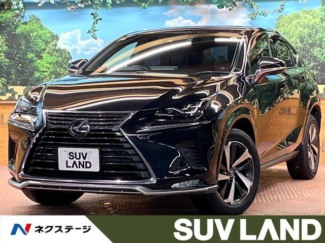 TOYOTA / LEXUS NX300