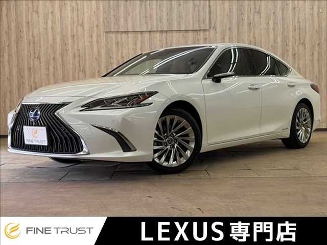 TOYOTA / LEXUS ES300h