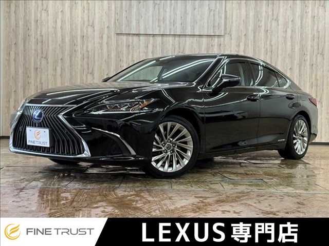TOYOTA / LEXUS ES300h