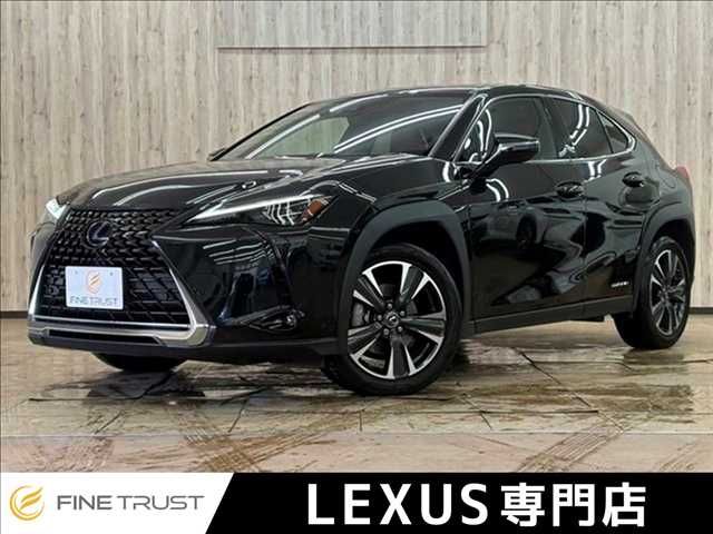 TOYOTA / LEXUS UX250h