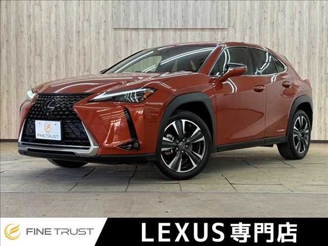TOYOTA / LEXUS UX250h