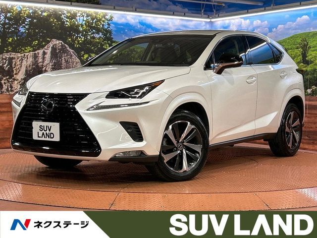 TOYOTA / LEXUS NX300