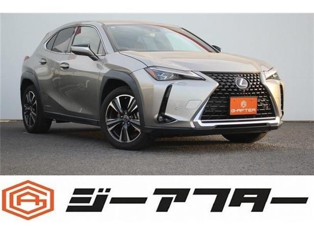 TOYOTA / LEXUS UX250h AWD