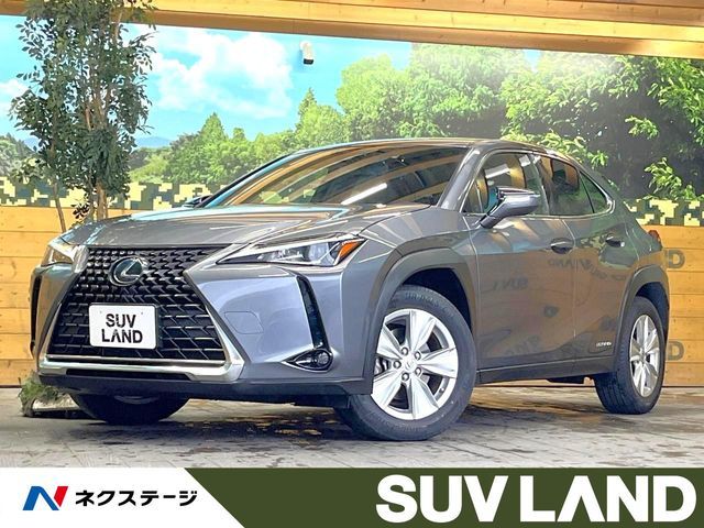 TOYOTA / LEXUS UX250h