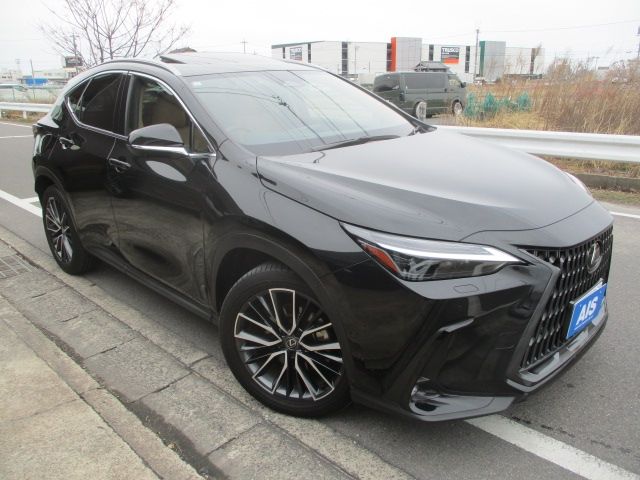 TOYOTA / LEXUS NX450h+ AWD