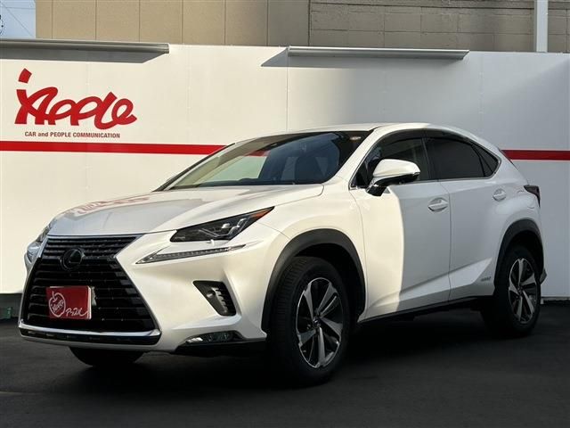 TOYOTA / LEXUS NX300h AWD