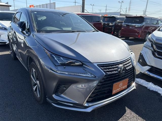 TOYOTA / LEXUS NX300 AWD