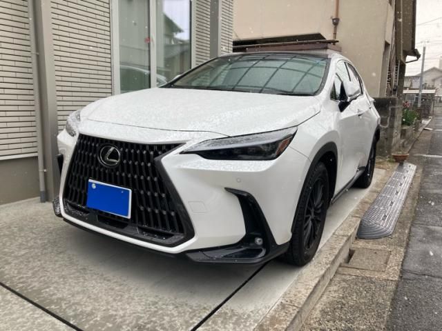 TOYOTA / LEXUS NX250