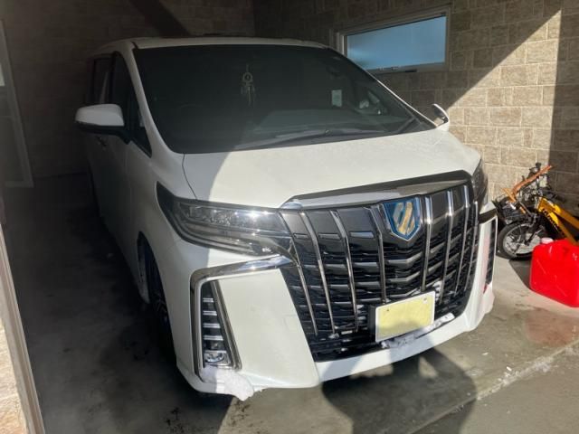 TOYOTA / ALPHARD hybrid 4WD