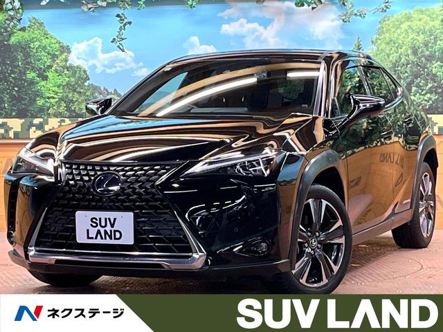 TOYOTA / LEXUS UX250h