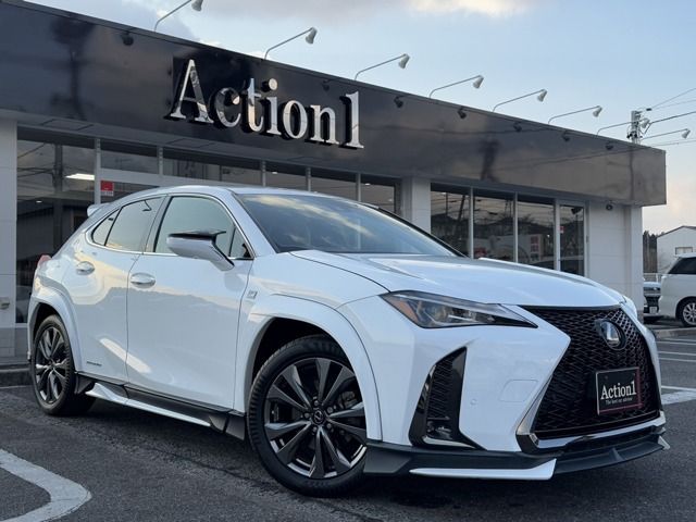 TOYOTA / LEXUS UX250h