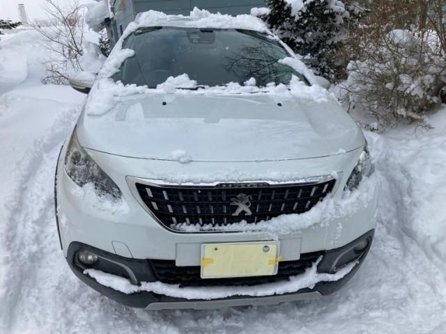 Japanese used car Ref# 1509888 PEUGEOT / PEUGEOT 2008