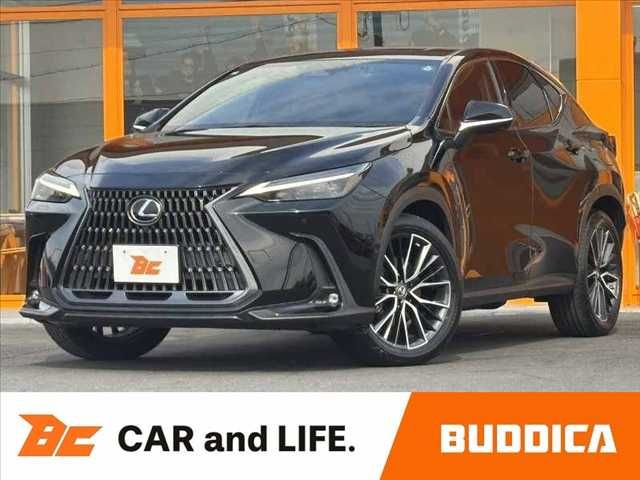 TOYOTA / LEXUS NX450h+ AWD
