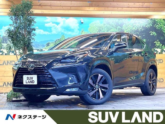 TOYOTA / LEXUS NX300