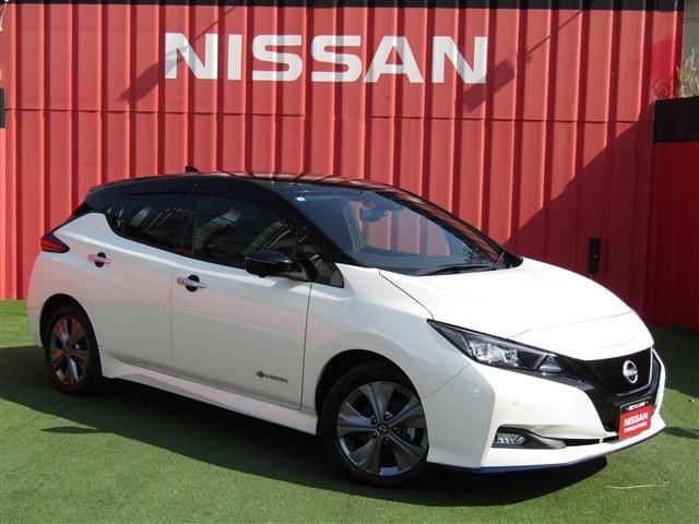 NISSAN / LEAF