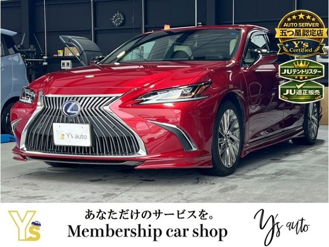 TOYOTA / LEXUS ES300h