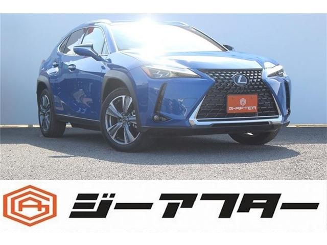 TOYOTA / LEXUS UX300e