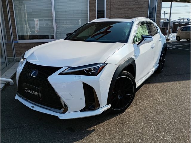 TOYOTA / LEXUS UX250h AWD