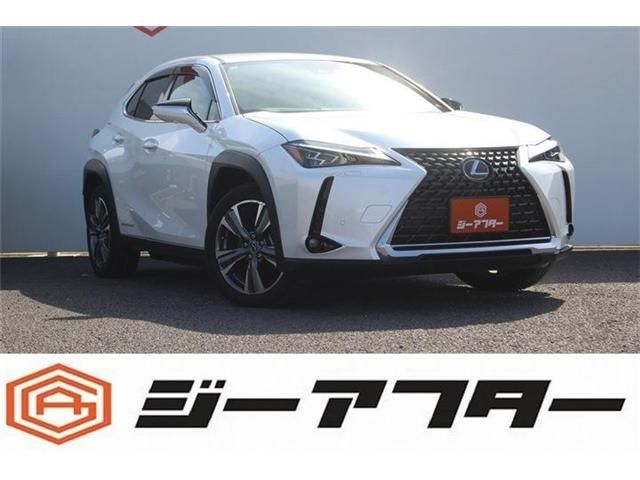 TOYOTA / LEXUS UX300e