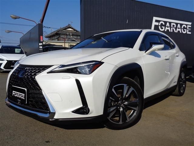 TOYOTA / LEXUS UX250h