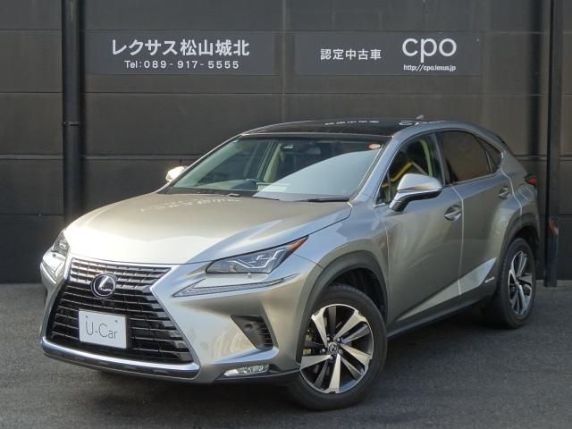 TOYOTA / LEXUS NX300h
