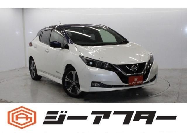 Japanese used car Ref# 1515009 NISSAN / LEAF