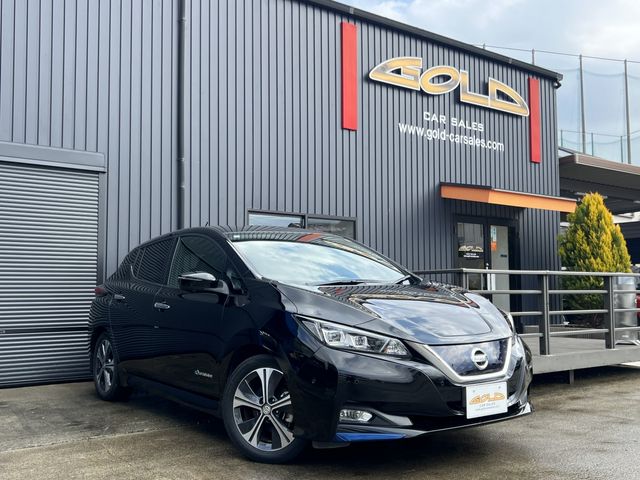 NISSAN / LEAF