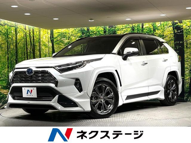 TOYOTA / RAV4 HYBRID 4WD